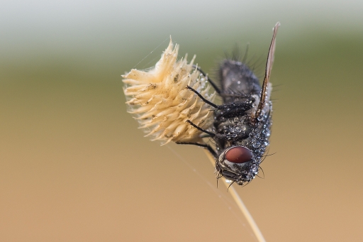 Septembre 2012 - neosilencers
Septembre 2012 - neosilencers
