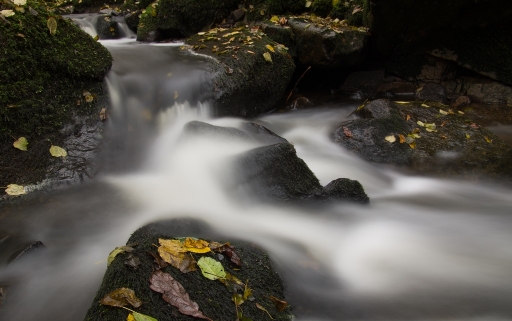 Novembre 2012 - neosilencers 
Novembre 2012 - neosilencers 
