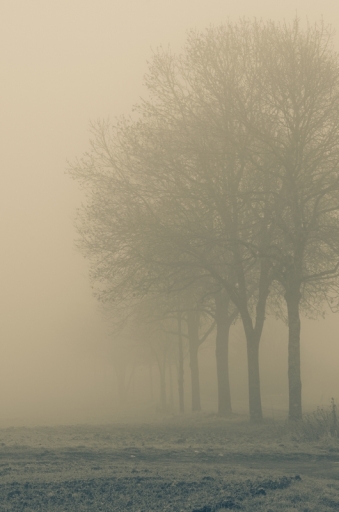 Décembre 2012 -neosilencers
Decembre 2012 - neosilencers
