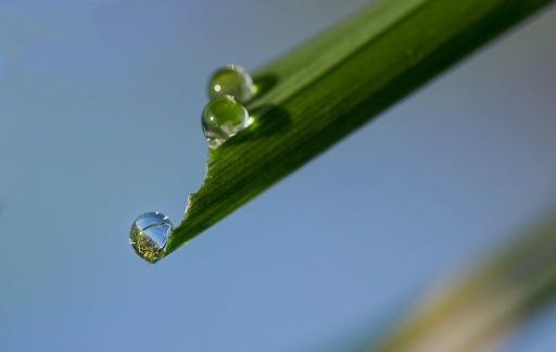 Décembre 2012 -neosilencers 
Decembre 2012 - neosilencers 
