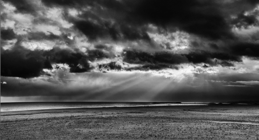 2013-11-21 / olilignan
olilignan   [ Noir et Blanc, Sepia et desaturation partielle ]
