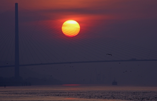 2014-06-26 / step55
step55    [ Coucher / Lever de soleil ]
