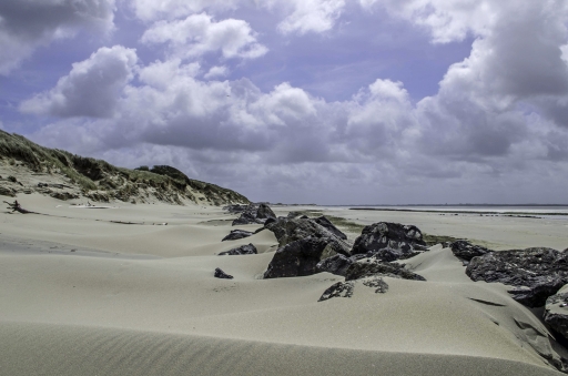 2014-09-11 / step55
step55  [ Paysages ]
