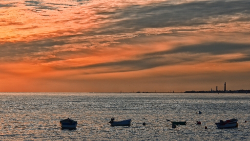 2014-10-15 / loustic29
loustic29   [ Coucher / Lever de soleil ]
