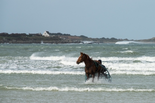 2014-05-07 / Hefbee
Hefbee  [ La mer, l'ocean ]
