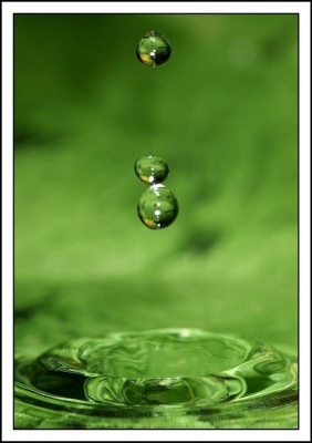 2008-10-09 / nana63
par : naanaa6334  [ Gouttes ]
