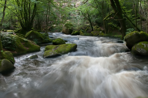 Aout 2012 - dedales
Aout 2012 - dedales
