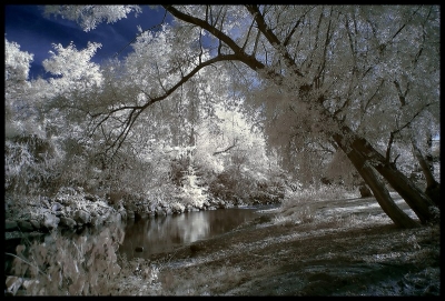 2009-11-19 / nana63
Par : nana63  [ Infra-Rouge ]
