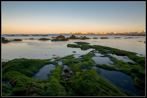 2013-05-11 / Mickmac 
Mickmac  [ La mer, l'ocean ]
