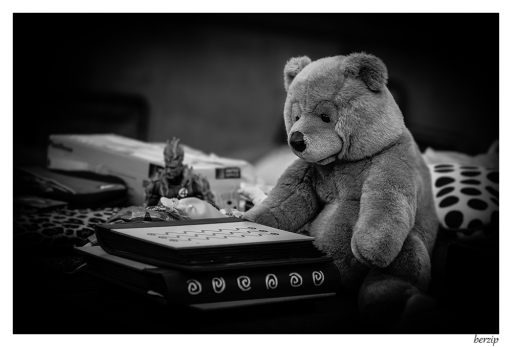 2014-07-07 / berzip
berzip  [ Noir et Blanc, Sepia et desaturation partielle ]
