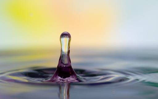 Janvier 2012 - Gko
Janvier 2012 - Gko
