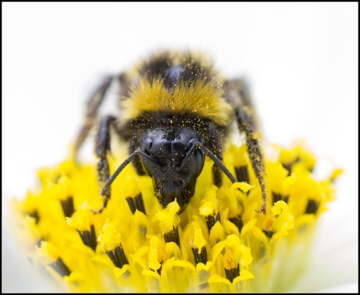 Juillet 2012 - Gko
Juillet 2012 - Gko
