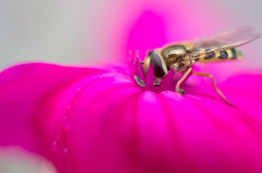 Septembre 2012 - Gko
Septembre 2012 - Gko
