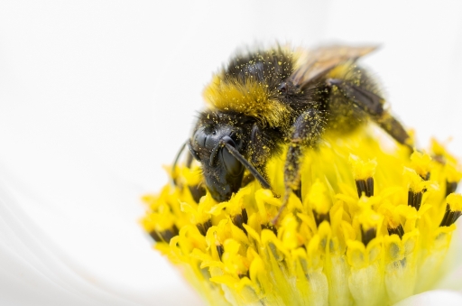 Octobre 2012 - Gko
Octobre 2012 - Gko
