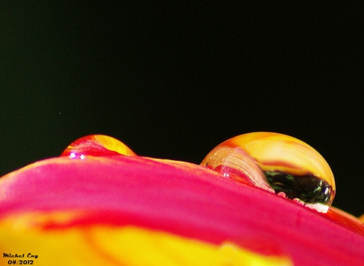 Juillet 2012 - michel67
Juillet 2012 - michel67
