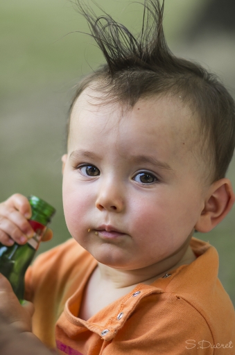 2014-03-11 / sducret
sducret  [ Portraits de bebes et enfants ]
