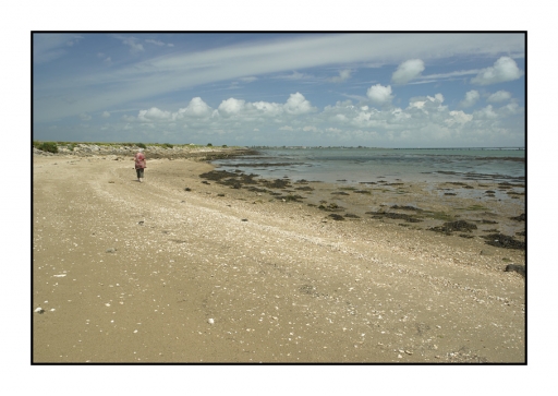 2013-09-12 / lavacherouge
lavacherouge             " Oleron  Saint Trojan les Bains " 
