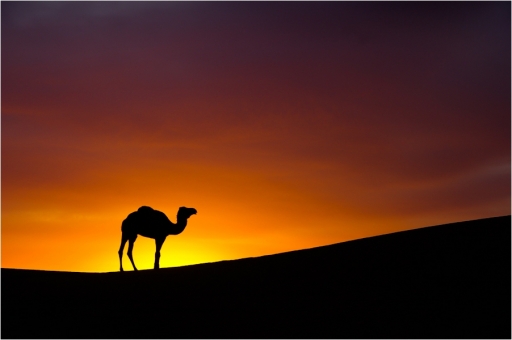 2011-02-10 / pelelo 
Par : pelelo    [ Coucher / Lever de soleil ]
