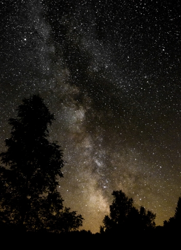 Septembre 2012 - dedales
Septembre 2012 - dedales
