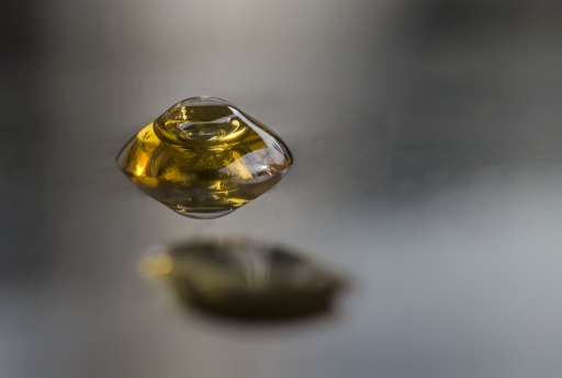 2013-02-04 / miczfr
miczfr    [Gouttes]
