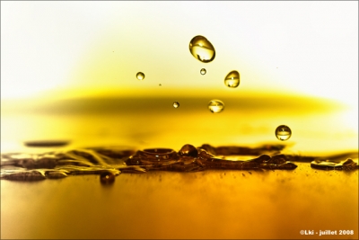 2008-07-24 / sexydinosaure
par : sexydinosaure   [ Gouttes ]
