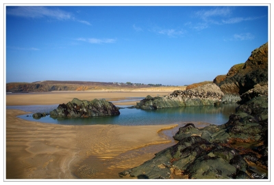 2009-02-05 / ergerg
Par : ergerg   [ La mer, l'ocean ]
