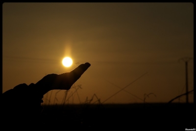 2008-12-24 / macmini95 
Par : macmini95  [ Coucher / Lever de soleil ]
