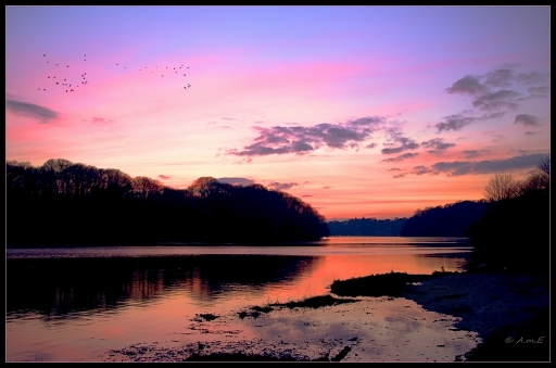 2013-01-17 / AME29
Par : AME29        [ Coucher / Lever de soleil ]
