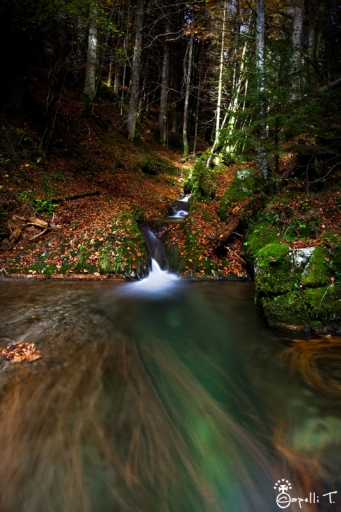 Octobre 2012 - NeroPsylo
Octobre 2012 - NeroPsylo
