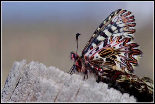 Avril 2012 - olilignan
Avril 2012 - olilignan

