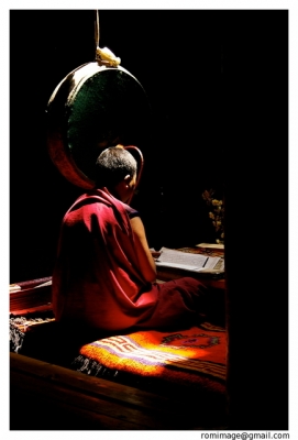 2008-08-28 / daisuke
Par : daisuke  [ Studio & inclassables ]
