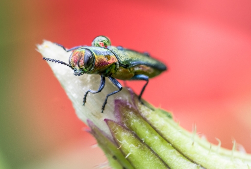 Juin 2012 - miczfr
Juin 2012 - miczfr
