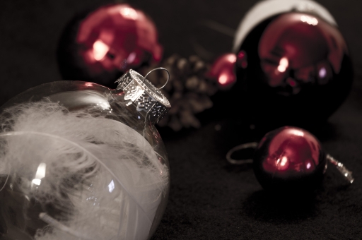 2011-12-08  / DamDuSud 
 Par : DamDuSud    [ Studio & inclassables ]
