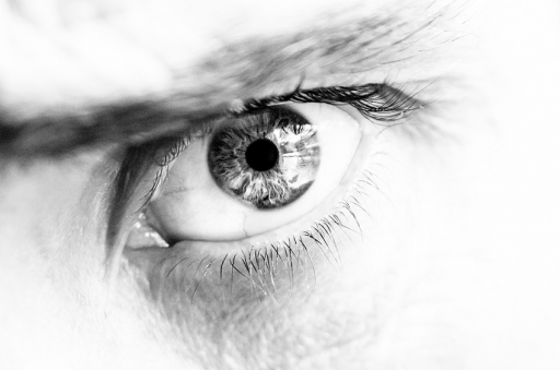 Décembre 2012 - génépi
Decembre 2012 - genepi
