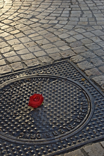 2011-04-14 / chamcham
Par :  chamcham  [Graphismes]
