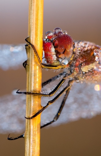 Novembre 2012 - olilignan 
Novembre 2012 - olilignan 
