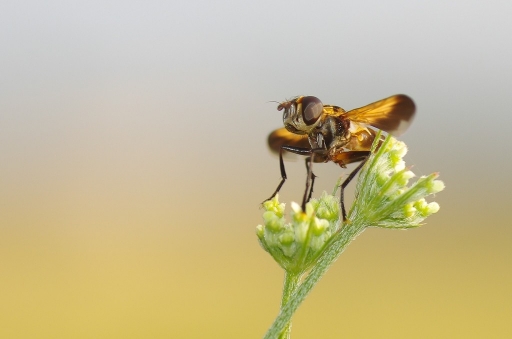 Octobre 2012 - olilignan
Octobre 2012 - olilignan

