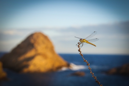 Septembre 2012 -olilignan
Septembre 2012 - olilignan
