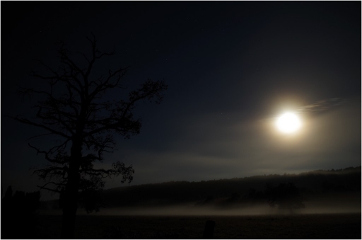 2013-08-22 / FreD69
FreD69     [ Nuit ou poses longues ]
