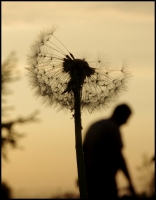 Nom du fichier=110420100213970837.jpg
Taille du fichier=331Ko
Dimensions : 600x768
Ajouté le : 20 Avril 2011 110420100213970837.jpg