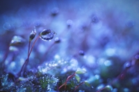 Nom du fichier=151113051534332415.jpg
Taille du fichier=113Ko
Dimensions : 1024x678
Ajouté le : 13 Novembre 2015 151113051534332415.jpg