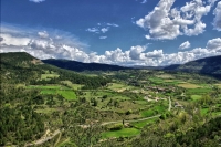 Nom du fichier=i658041_greffeil.jpg
Taille du fichier=182Ko
Dimensions : 800x533
Ajouté le : 22 Avril 2009 i658041_greffeil.jpg