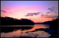 Nom du fichier=imgp6872hfforum.jpg
Taille du fichier=337Ko
Dimensions : 1024x678
Ajouté le : 16 Janvier 2013 imgp6872hfforum.jpg