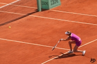 rolandgarros11.jpg