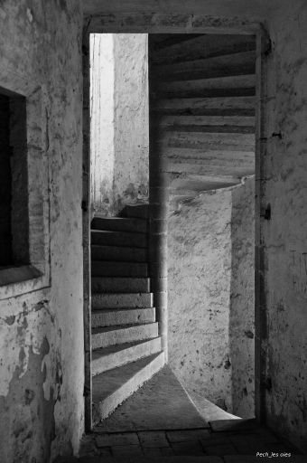 2011-03-21 / Pech_les oies
Par Pech_les oies - [ Noir et Blanc, Sepia et desaturation partielle ]
