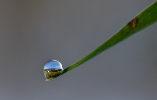 2012-12-10 / neosilencers
Par neosilencers dans Gouttes
