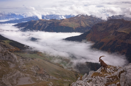 2022-10-11 Dan2
Dan2 dans Faune Sauvage
