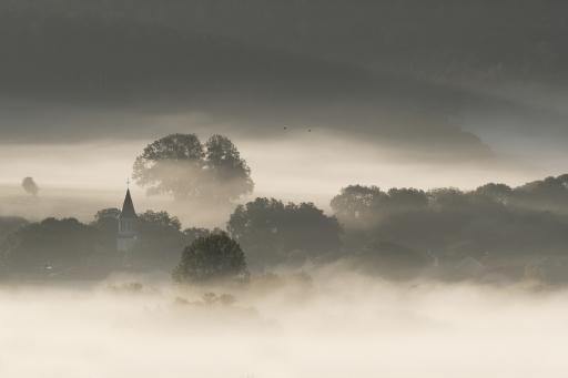 2022-11-14
charlysouho dans Paysages et éléments naturels
