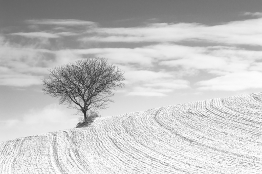 2023-01-23 / Opus21
Opus21 dans Paysages et éléments naturels
