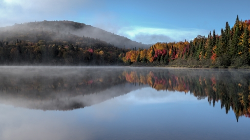 2019-10-11 / ramiot
ramiot dans Paysages et elements naturels
